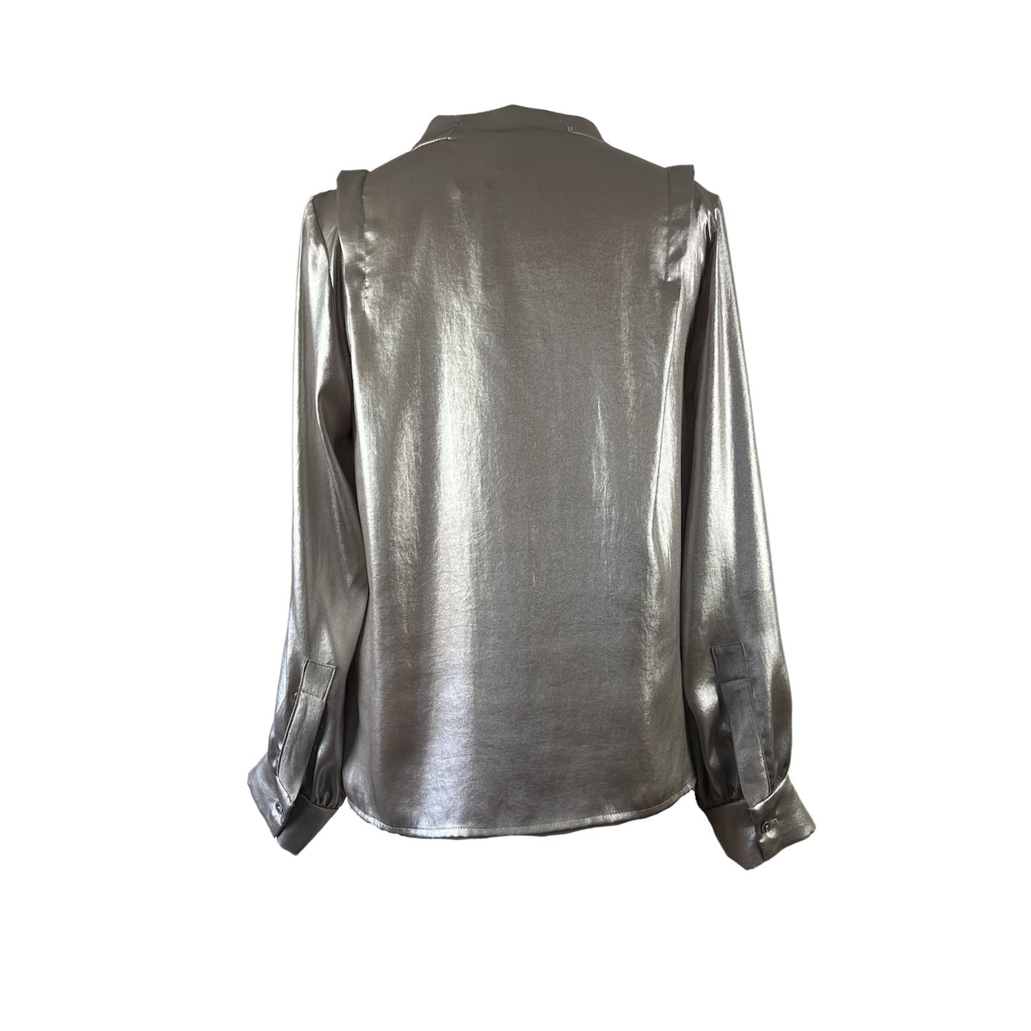 Back of Silk blouse in silver shine